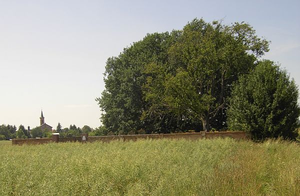 Jüdische Friedhöfe im Landkreis Bergstrasse sowie Stadtkreis Darmstadt